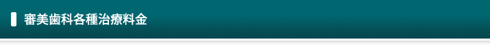 審美歯科各種治療料金